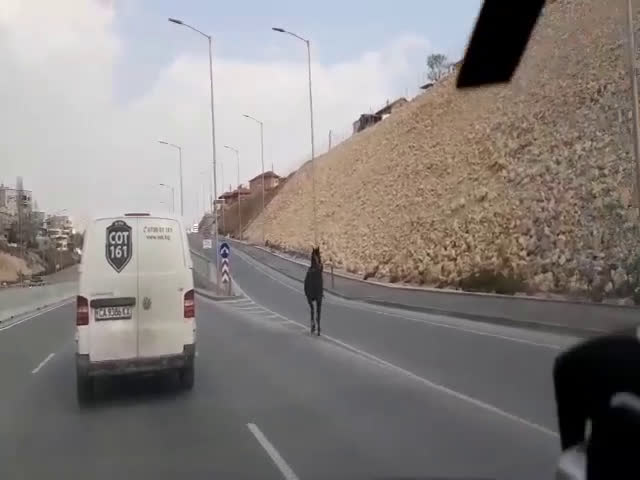 Опасност на пътя