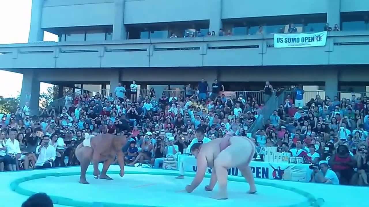Вижте едно ненормално Сумо тръшване!