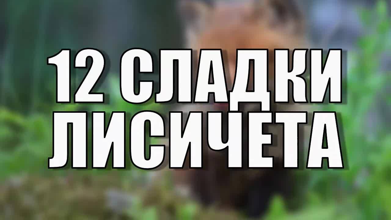 12 сладки лисичета