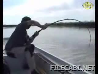 Огромен Сом