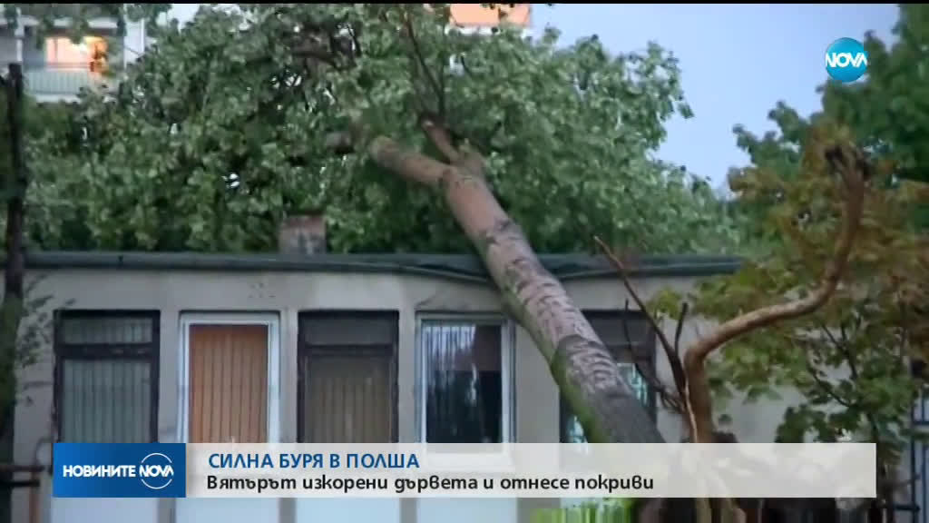 Силна буря връхлетя западната част на Полша