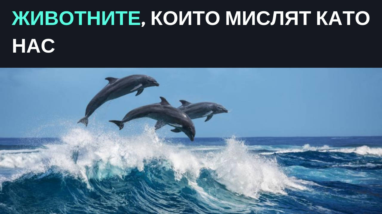 Животните, които мислят като нас