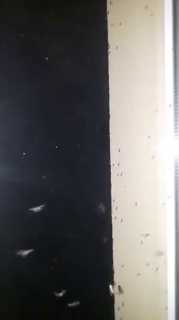 Ад в центъра на Русе