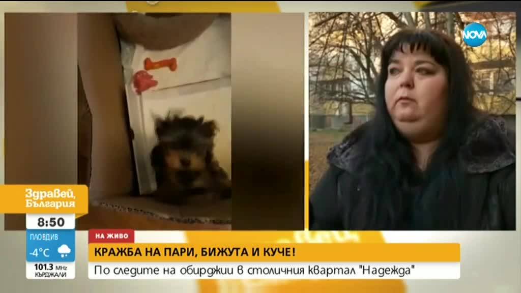 „ДРЪЖТЕ КРАДЕЦА”: Кой и защо задигна пари, бижута и куче от апартамент в София?
