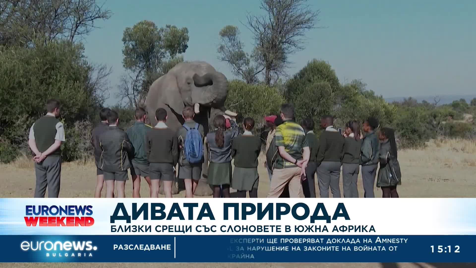 Дивата природа: Близки срещи със слоновете в Южна Африка
