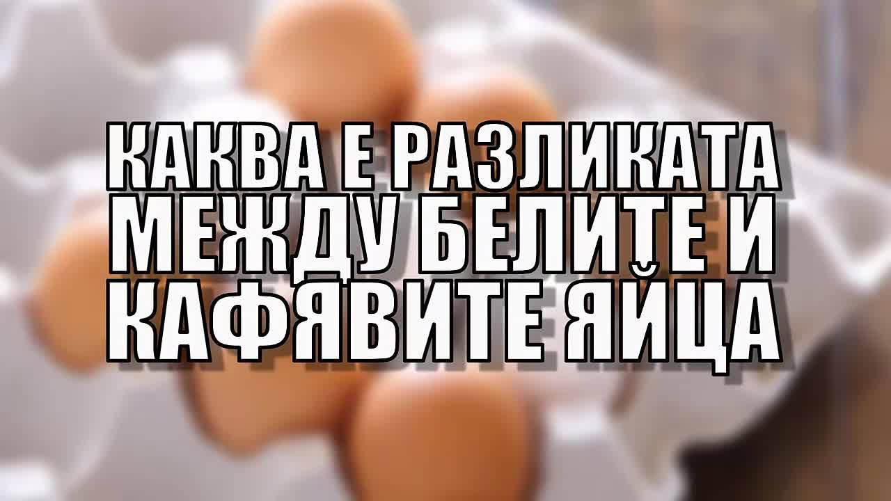 Каква е разликата между белите и кафявите яйца?