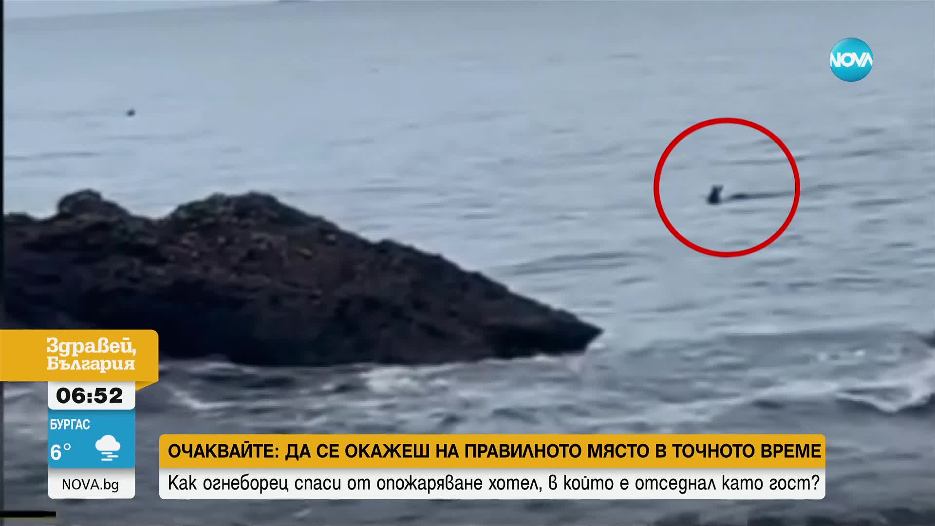 14-годишен спаси сърна от морето край Италия