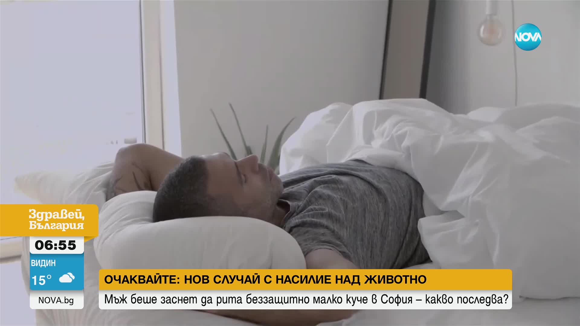 С научна цел: Дават 12 хил. евро за два месеца лежане в легло