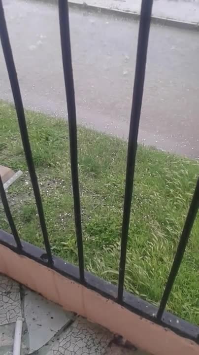 Грядушка в Берковица