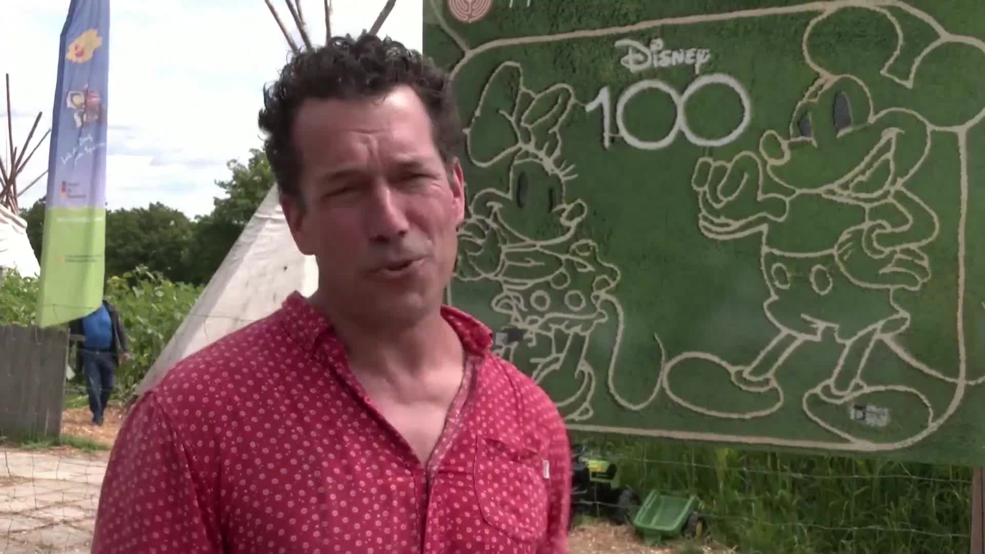Лабиринт на Мини и Мики Маус се появи в слънчогледова нива (ВИДЕО)