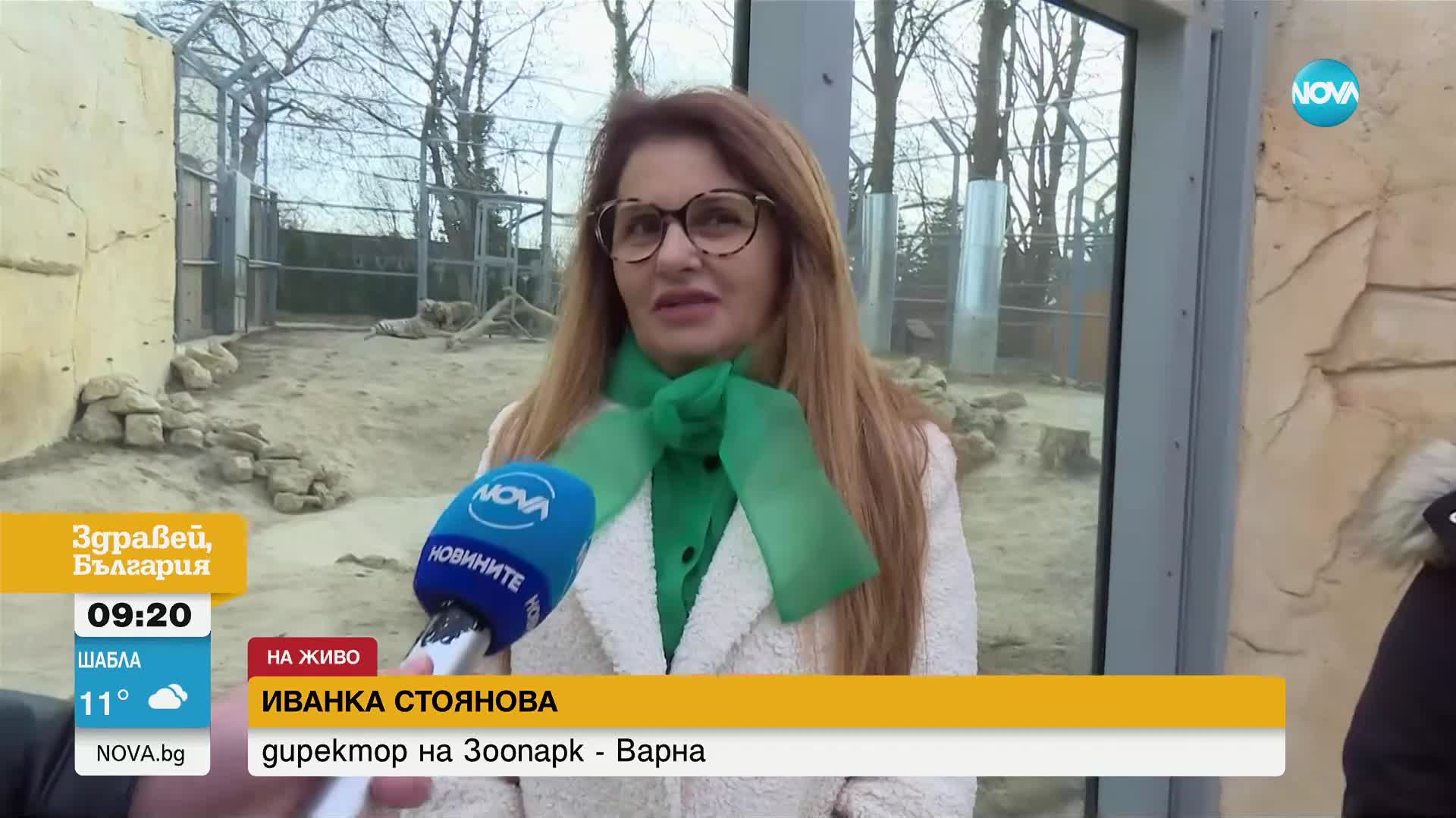 Обявиха конкурс за любима двойка животни в зоопарка във Варна (ВИДЕО)