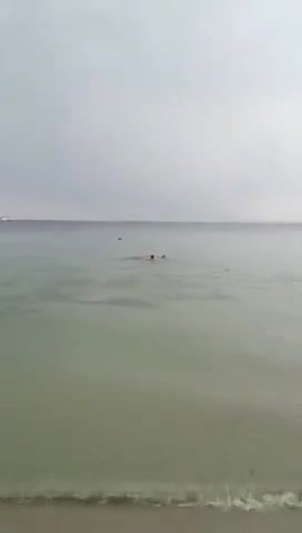 Колоездач сред вълните