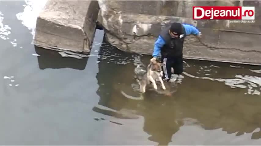 Ето как куче се отблагодарява, след като го спасяват от ледените води