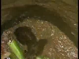 Спасяване на леопард