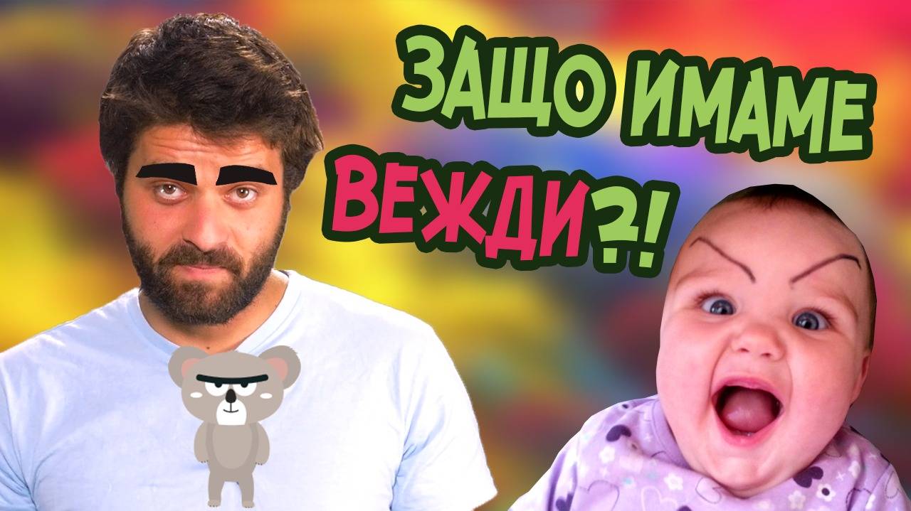 ЗАЩО изобщо имаме ВЕЖДИ?!