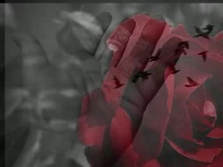 [превод] Giannis Ploutarxos - Me ti Kardia