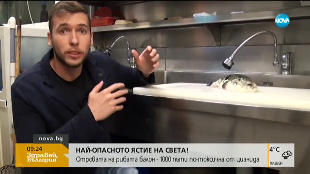 Отровна риба е един от най-големите деликатеси в света
