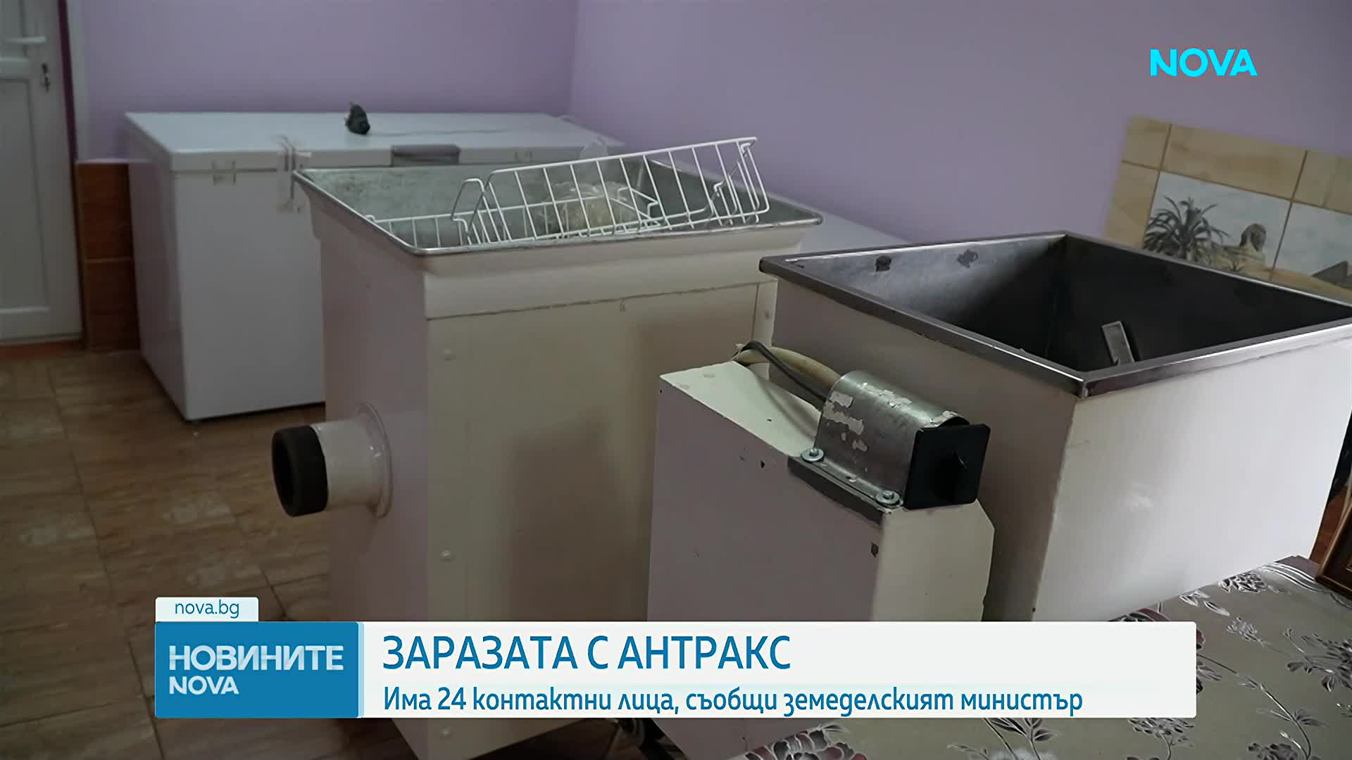 Христанов: Има открити две огнища на антракс в страната, които са изолирани