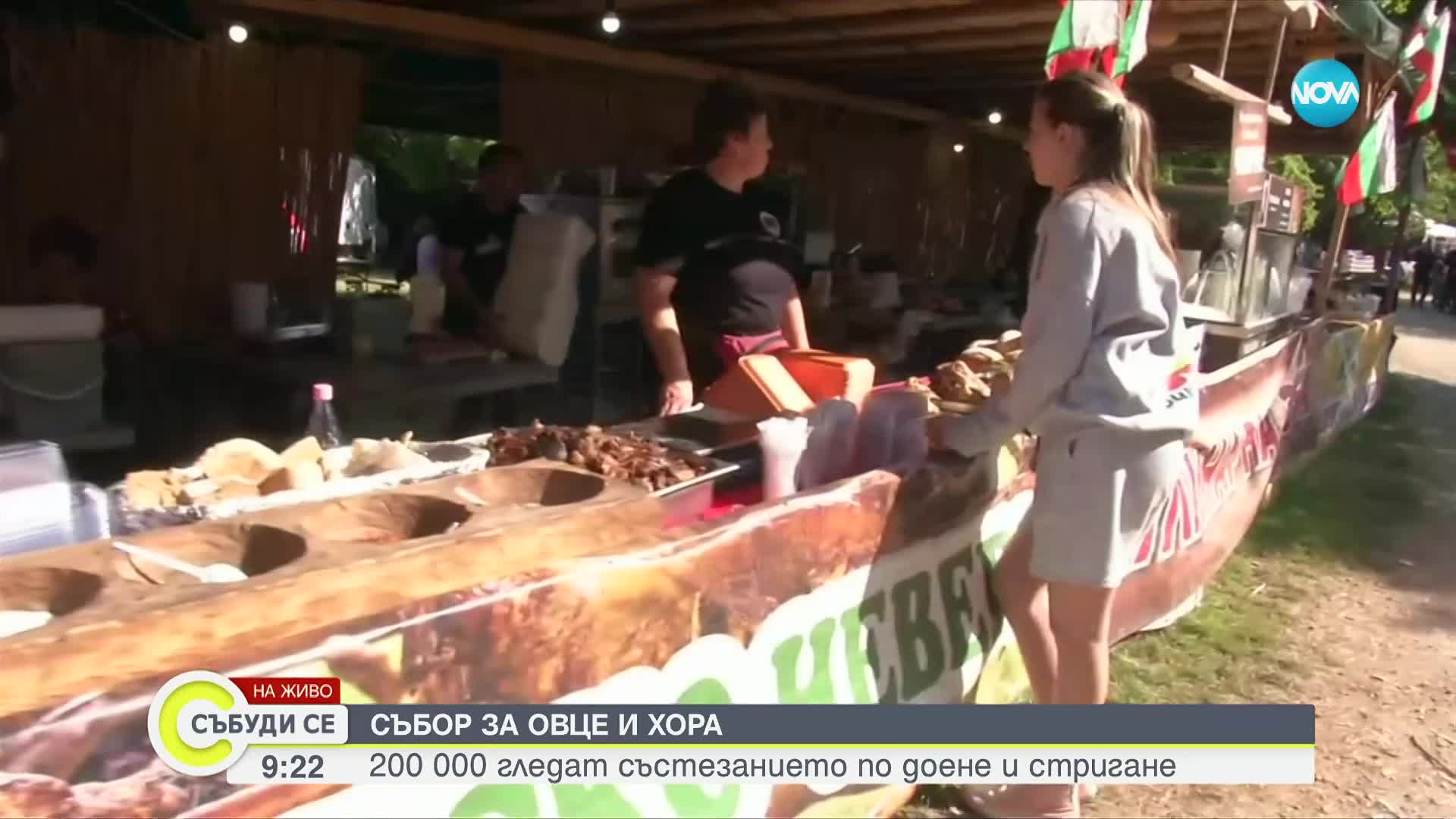200 000 гледат състезанието по доене и стригане на овце
