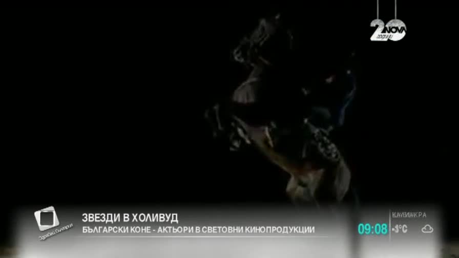 Наши коне стават холивудски звезди