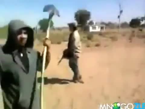Този мнoго иска мотор смях