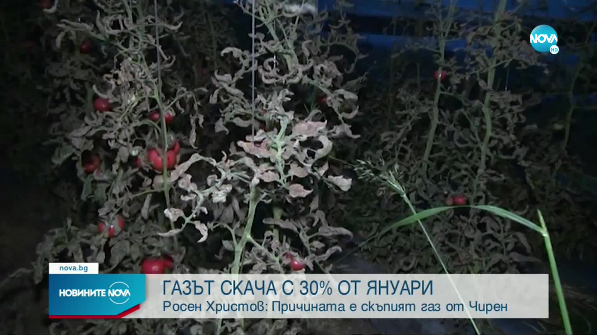Христов: Природният газ през януари ще поскъпне с около 30%