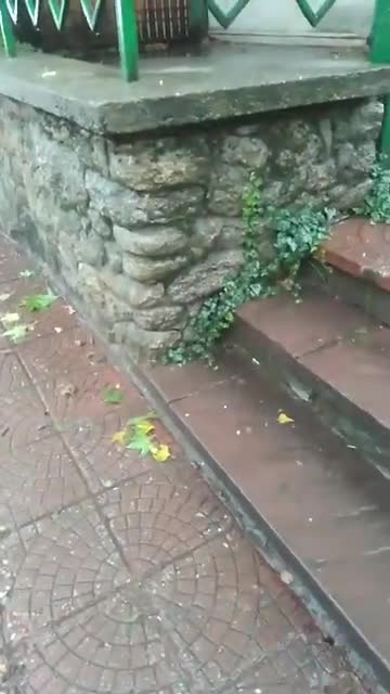 Дъжд и градушка в Tроян