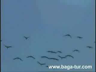 Миналото На България