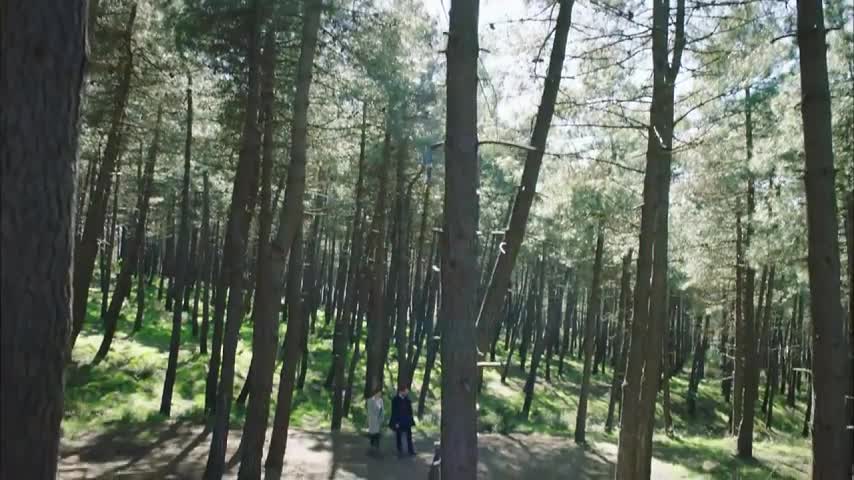 До живот-еп.12.1 с бг суб