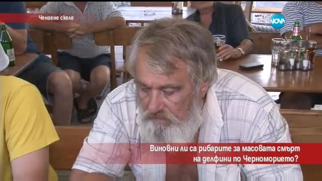 Виновни ли са рибарите за масовата смърт на делфини по Черноморието?