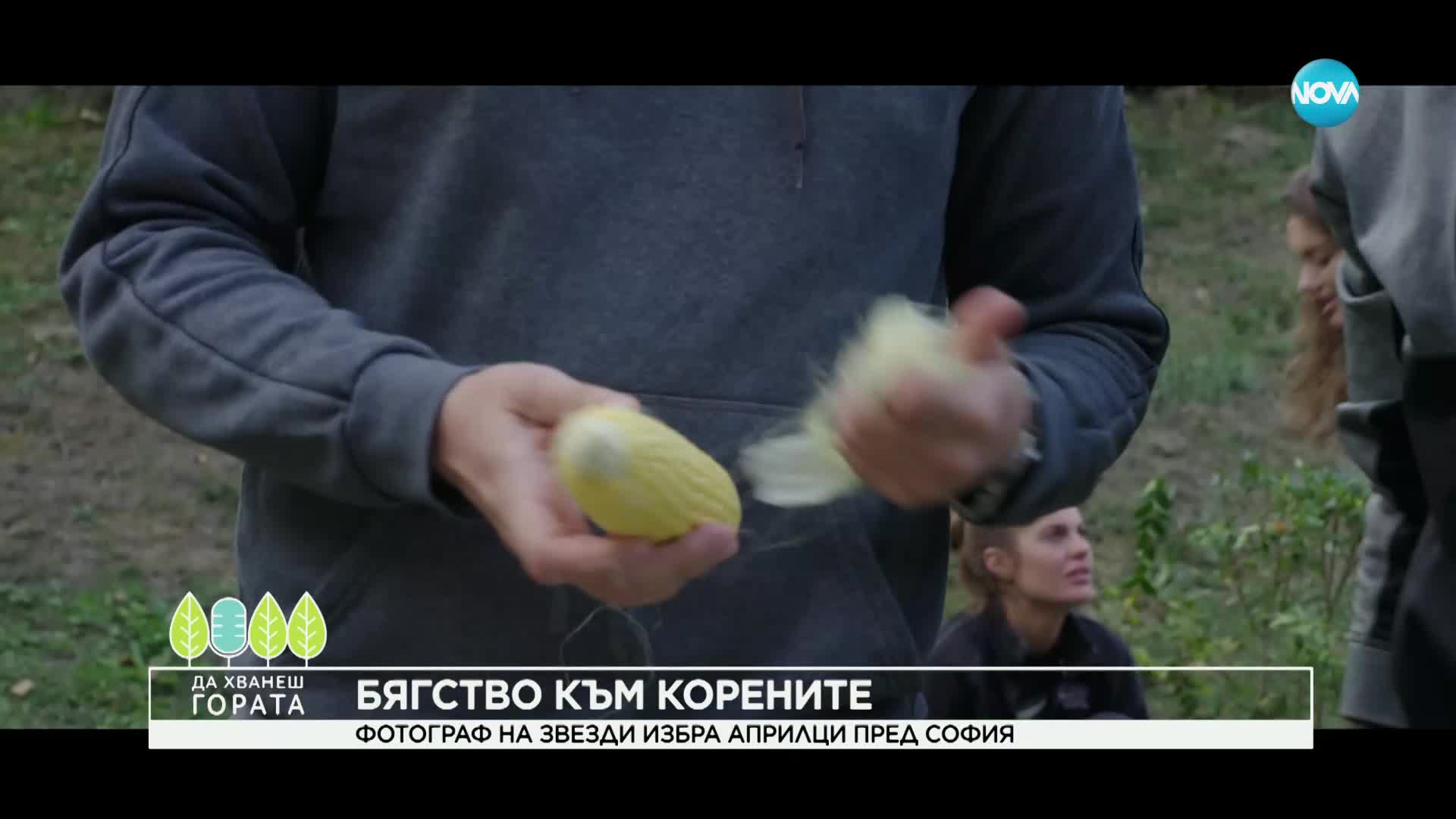 Да хванеш гората (08.10.2023)