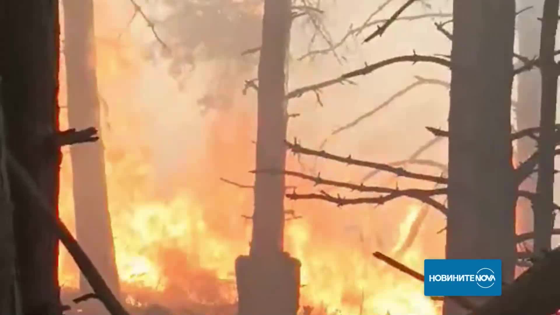 Два големи пожара горят край Копривщица