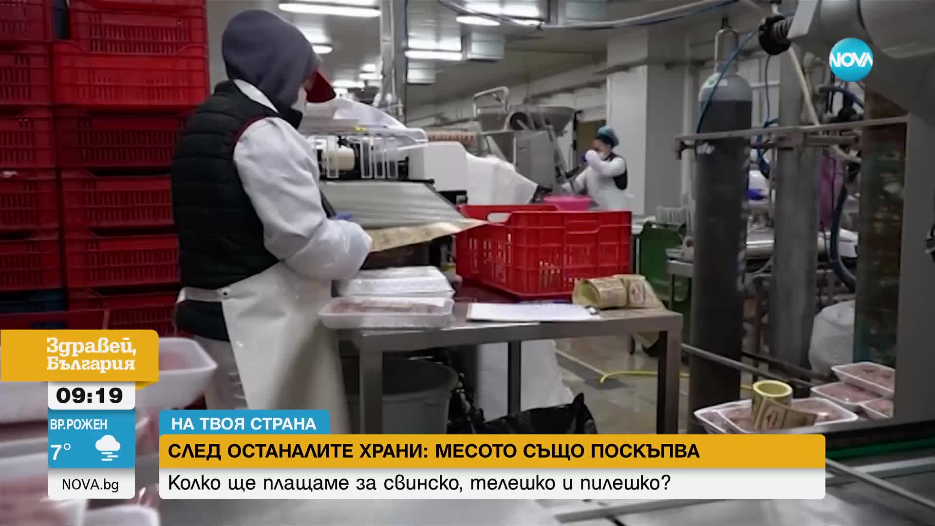 „НА ТВОЯ СТРАНА“: Накъде ще тръгнат цените на най-масовите меса: свинско, пилешко и телешко?