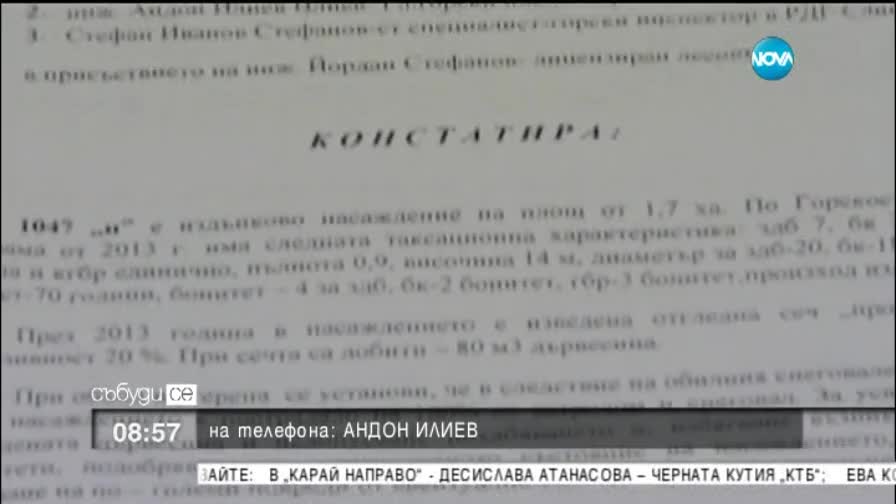 Кой изсече огромна гора, без собствениците й да знаят?