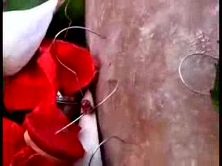 Индуски фестивал