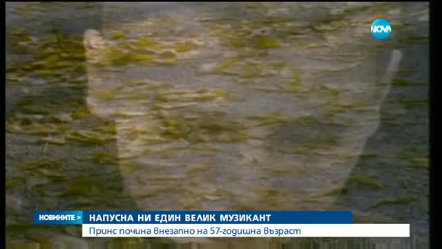 Светът скърби за Принс