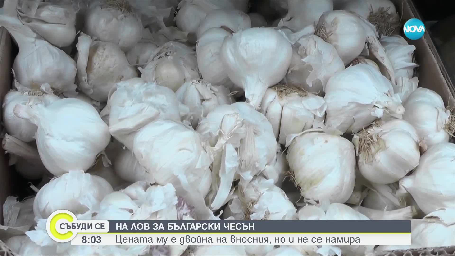 Изчезва ли от пазара българският чесън