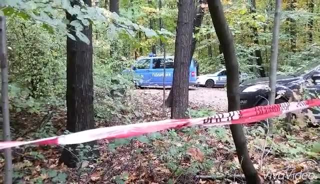 Паднало дърво в Борисовата градина