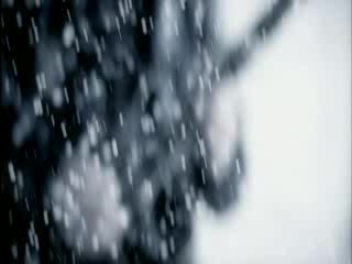 Nightwish - Nemo   Бг Субтитри