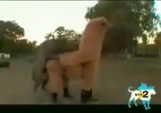 Това Е Голям Майтап