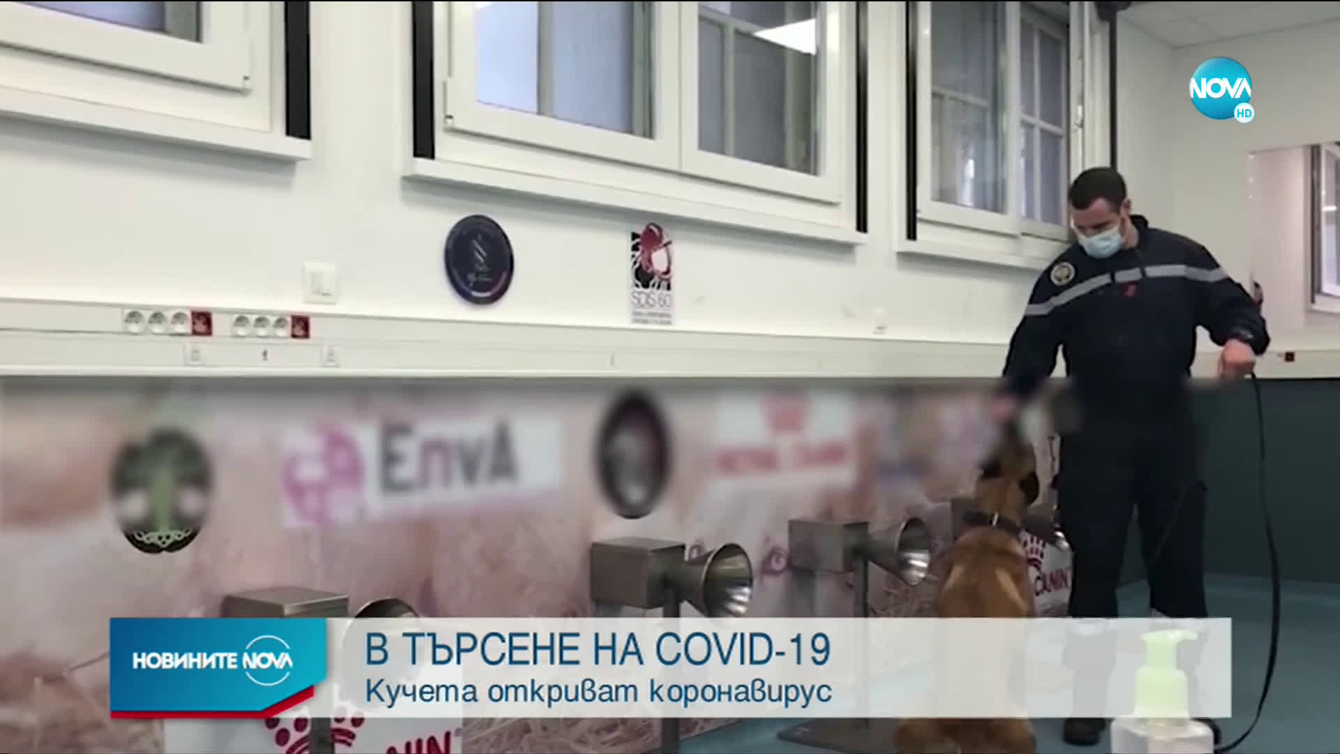 Кучетата в битката с COVID-19