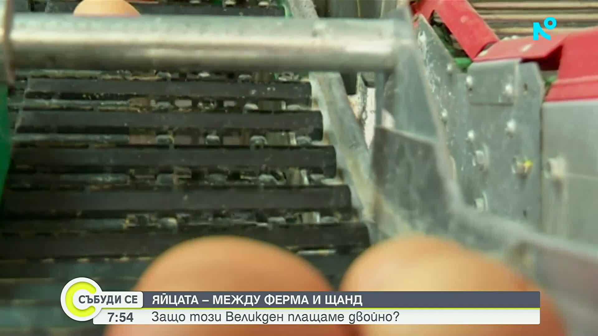 Какъв е пътят на яйцето и защо цената му расте в магазина