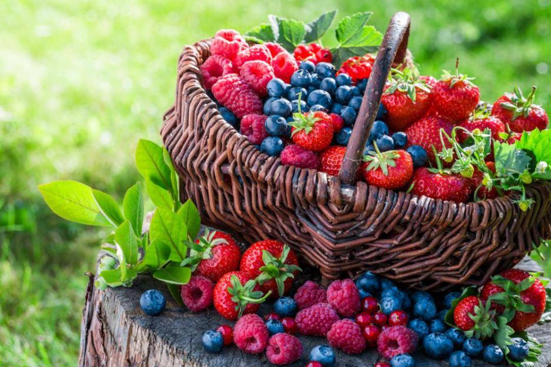 3 вкусни плода които предпазват мозъка от стареене