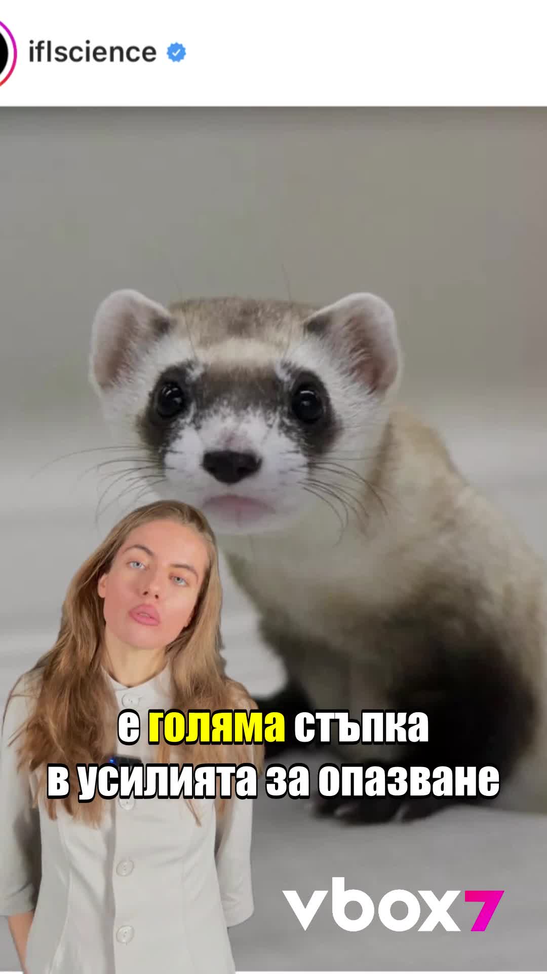 Учените успешно клонираха две животни! 🧬
