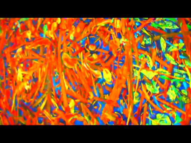 Lil Wayne feat. Gucci Mane - We Be Steady Mobbin ( Official Music Video) 