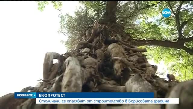 Екопротест в Борисовата градина в София