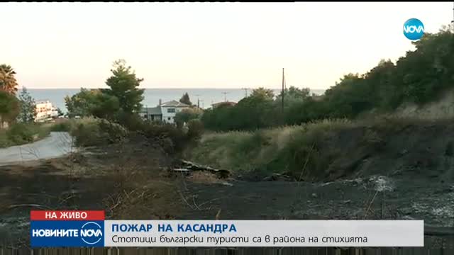 ПОЖАРЪТ НА ХАЛКИДИКИ: Изпепелена гора, унищожени имоти и изгорели коли (ВИДЕО)