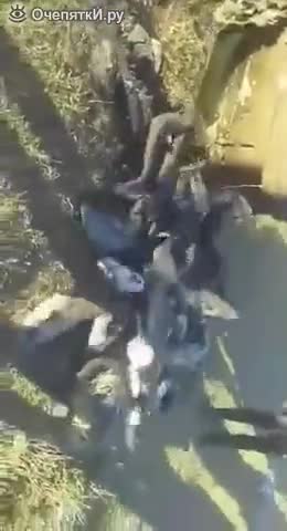 Ето с какво кола извадена от река в Русия изненада хората !