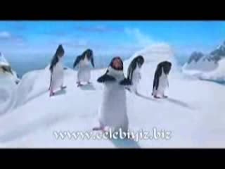 Пародия - Песен С Пингвини