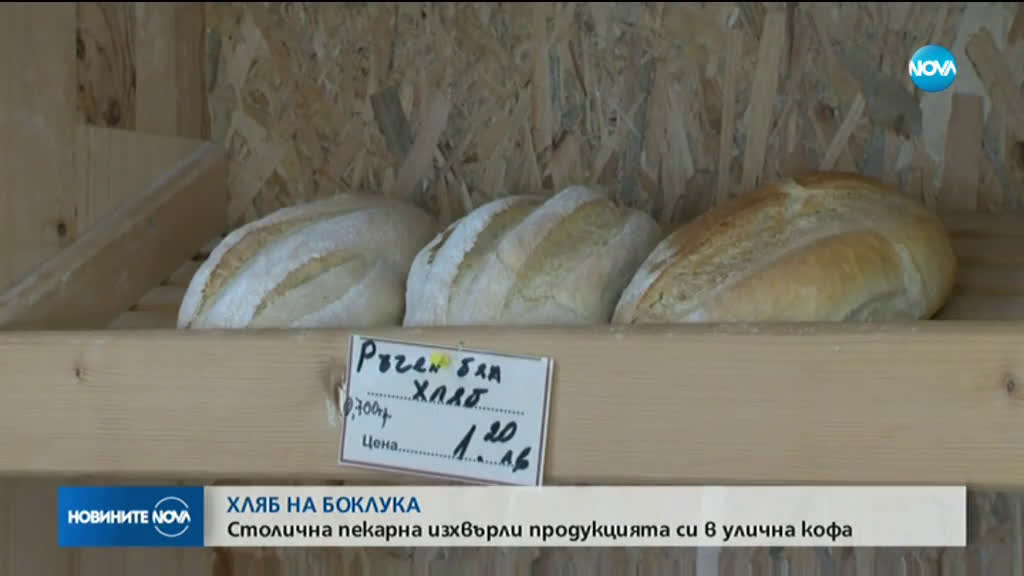 ХЛЯБ НА БОКЛУКА: Столична пекарна изхвърли продукцията си в улична кофа